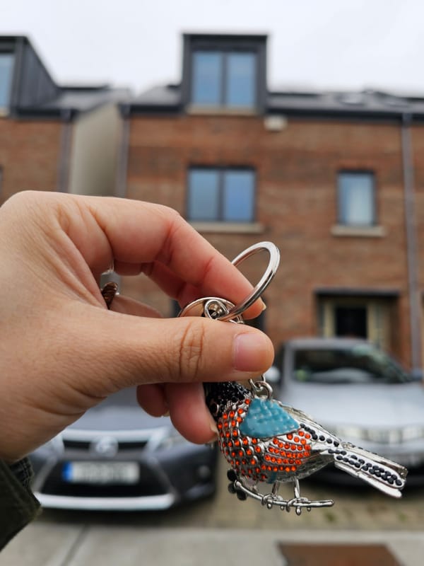 First time buyer house buying process in Dublin 2024